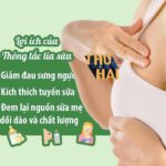 thong-tac-tia-sua